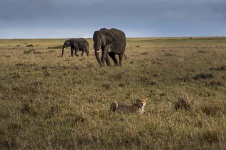Predavanje - Žiri07